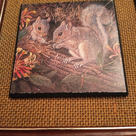Vintage Squirrel Nature Print by Dick Twinney UK 🐿️🍁 - Picture 2 of 5
